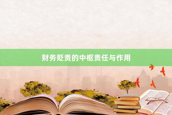 财务贬责的中枢责任与作用